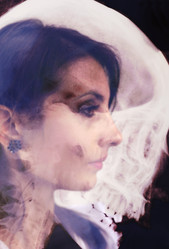 Similar image 1221559