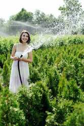 Similar image 1221811