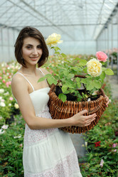 Similar image 1221820