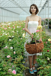 Similar image 1221821