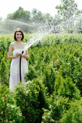 Similar image 1221841