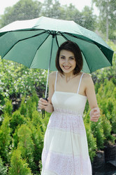 Similar image 1221856