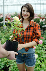 Similar image 1221969