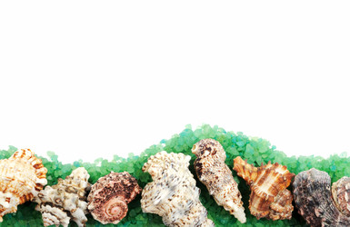 Similar image 1222052