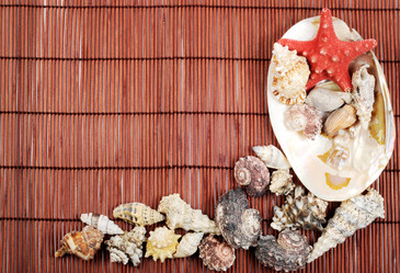 Similar image 1222056