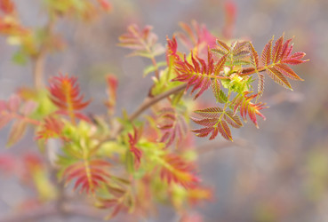 Similar image 1222068