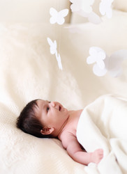 Similar image 1222155