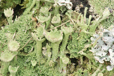 Similar image 1222159