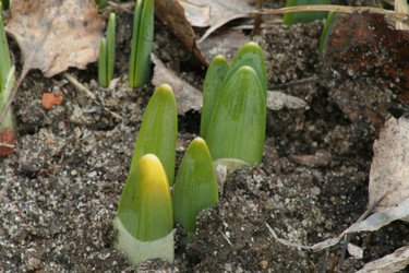 Similar image 1222160