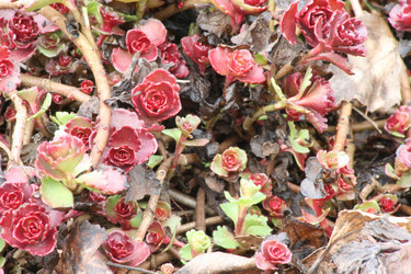 Similar image 1222161