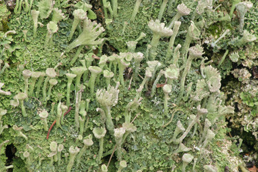 Similar image 1222162