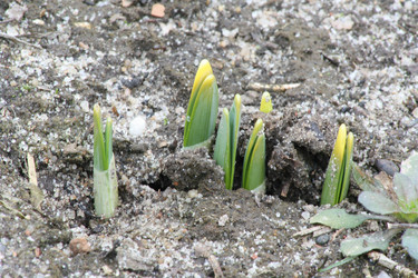 Similar image 1222164