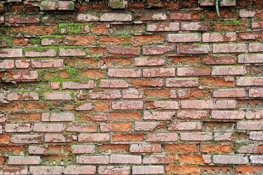 Similar image 1222165