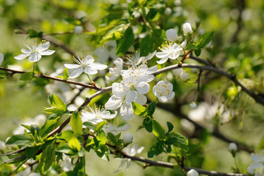 Similar image 1222166