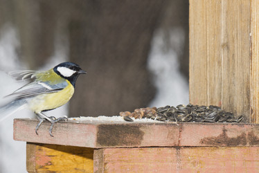 Similar image 1222169