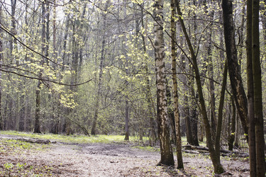 Similar image 1222170