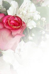 Similar image 1222359