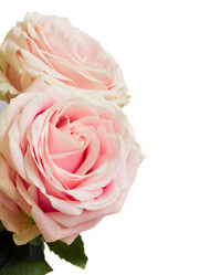 Similar image 1222525