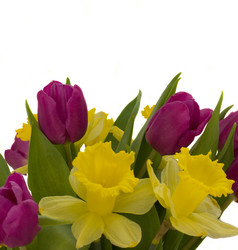 Similar image 1222534