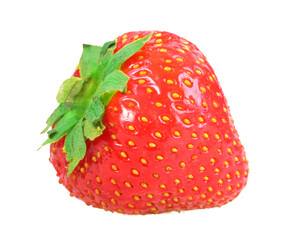 Similar image 1222740