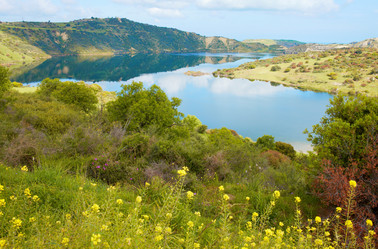 Similar image 1222742