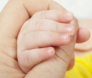 Similar image 1222762