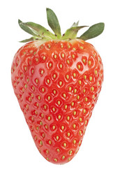 Similar image 1222764