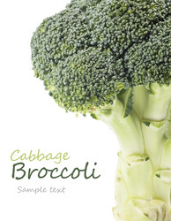 Similar image 1222771