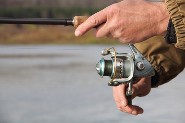 Similar image 1222788