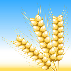 Similar image 1222803