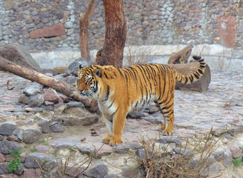 Similar image 1223110