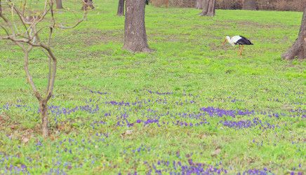 Similar image 1223116