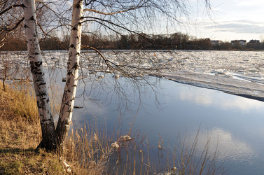 Similar image 1223141