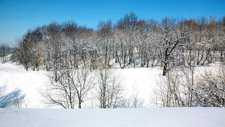 Similar image 1223143