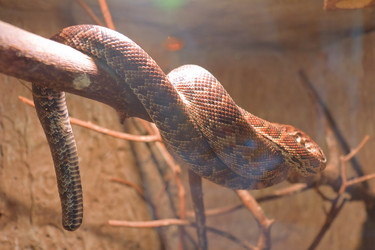 Similar image 1223163