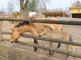 Similar image 1223170