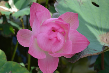 Similar image 1223315