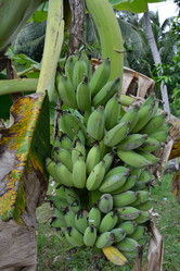 Similar image 1223317