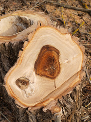 Similar image 1223342