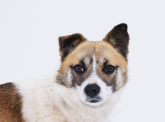 Similar image 1223344