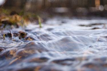 Similar image 1223345