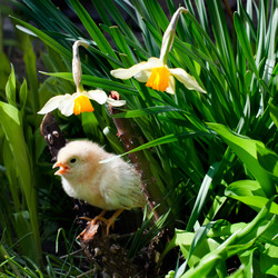 Similar image 1223352