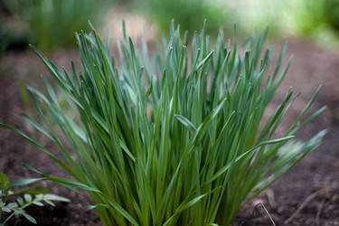 Similar image 1223356