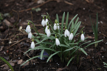 Similar image 1223377