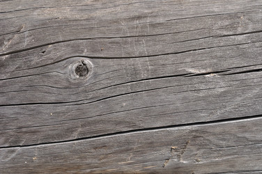 Similar image 1223405