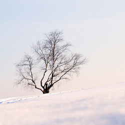 Similar image 1223436