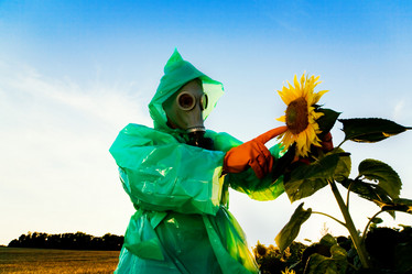 Similar image 1223729