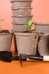 Similar image 1224062