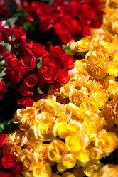 Similar image 1224091