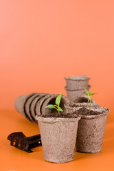 Similar image 1224101